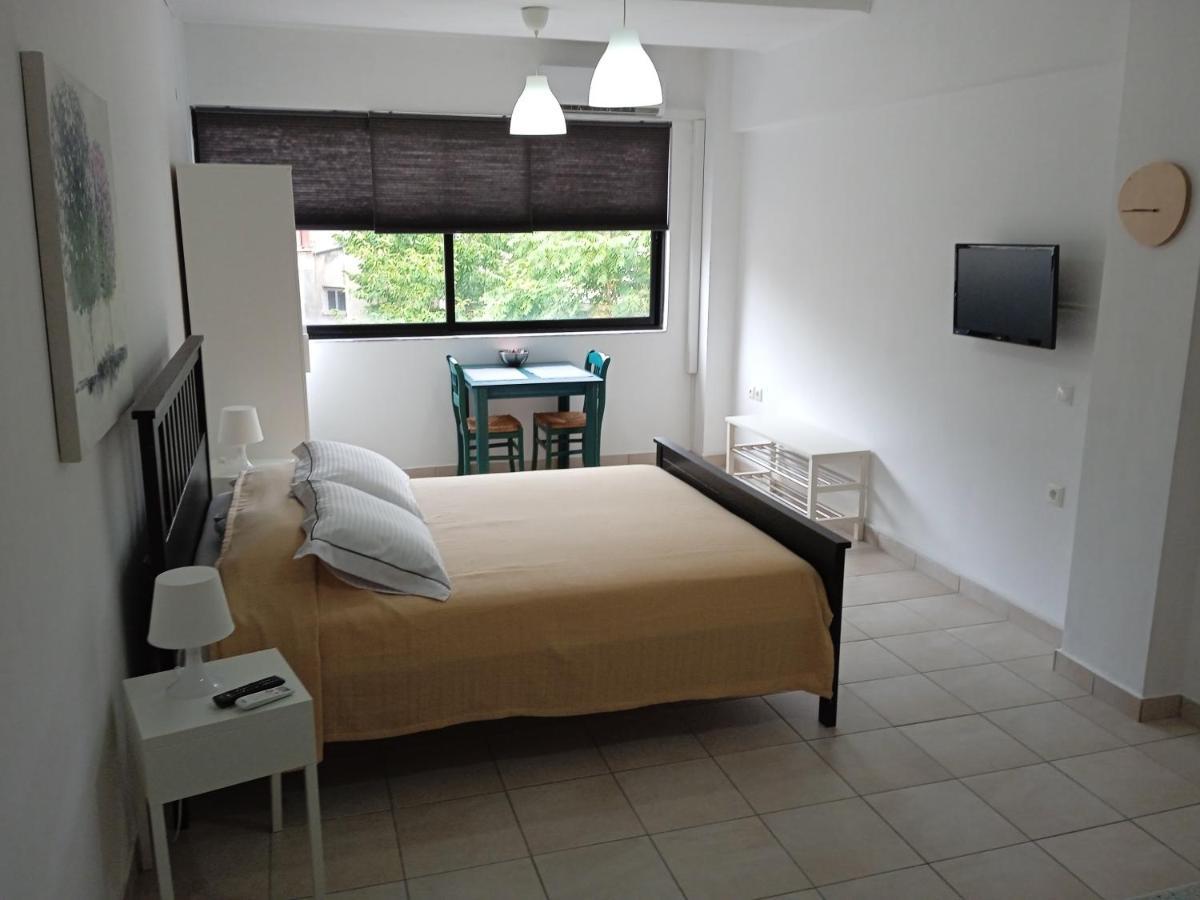 Dimitris Studio Apartment Ioannina Exterior photo